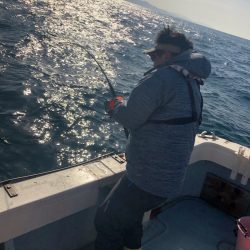 あみや渡船 JIGBOY 釣果