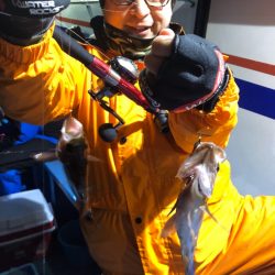 ヤザワ渡船 釣果