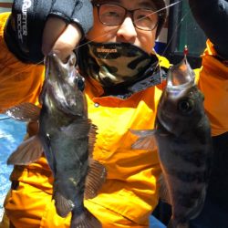 ヤザワ渡船 釣果