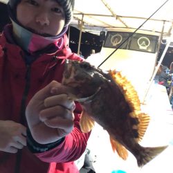 ヤザワ渡船 釣果