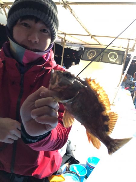 ヤザワ渡船 釣果