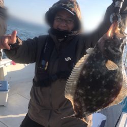 遊漁船メテオ 釣果