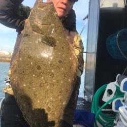 遊漁船メテオ 釣果