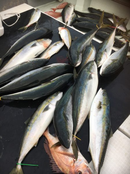 海楽隊 華栞丸 釣果