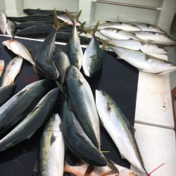 海楽隊 華栞丸 釣果