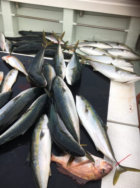 海楽隊 華栞丸 釣果