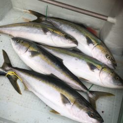 海楽隊 華栞丸 釣果