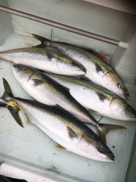 海楽隊 華栞丸 釣果