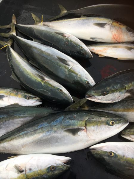 海楽隊 華栞丸 釣果