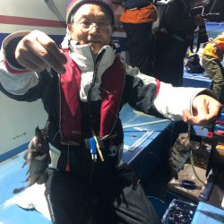 ヤザワ渡船 釣果