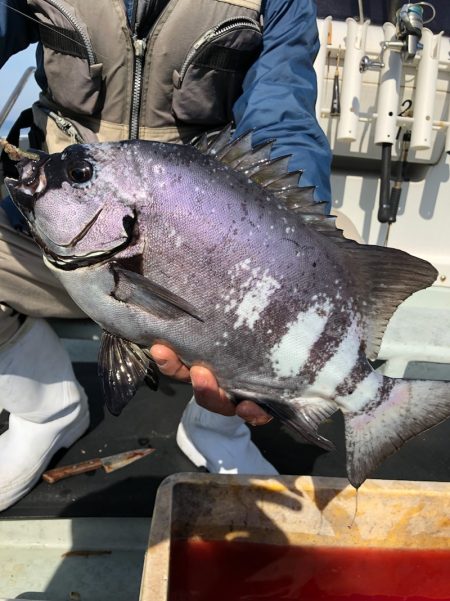 あみや渡船 JIGBOY 釣果