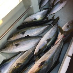 海楽隊 華栞丸 釣果