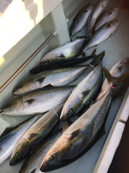 海楽隊 華栞丸 釣果