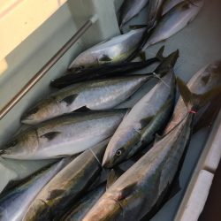 海楽隊 華栞丸 釣果