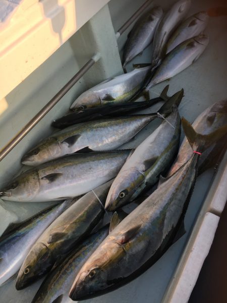 海楽隊 華栞丸 釣果