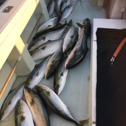 海楽隊 華栞丸 釣果