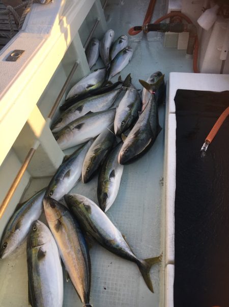 海楽隊 華栞丸 釣果