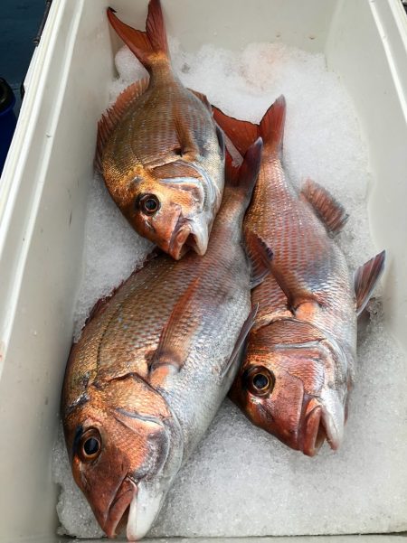 第二八坂丸 釣果