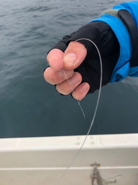 「LaGooN」蒼陽丸 日和号 釣果