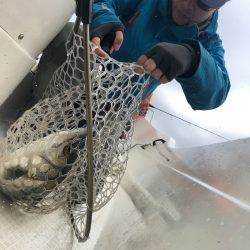 「LaGooN」蒼陽丸 日和号 釣果