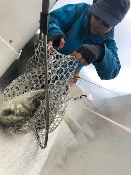 「LaGooN」蒼陽丸 日和号 釣果