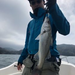 「LaGooN」蒼陽丸 日和号 釣果