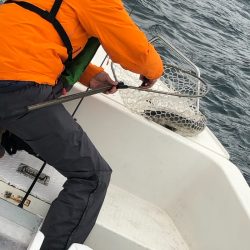 「LaGooN」蒼陽丸 日和号 釣果