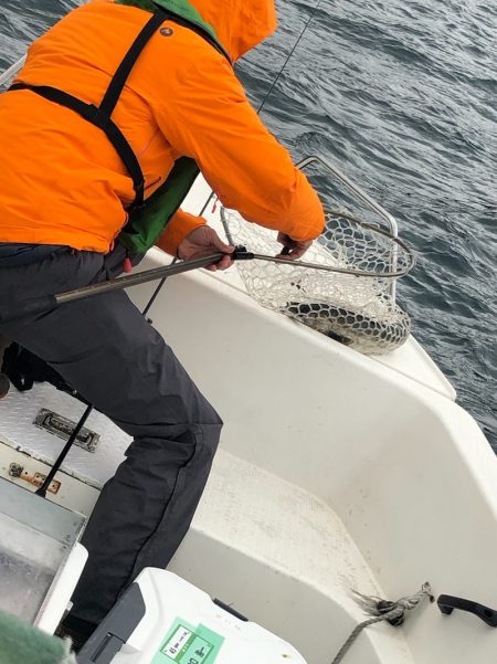 「LaGooN」蒼陽丸 日和号 釣果
