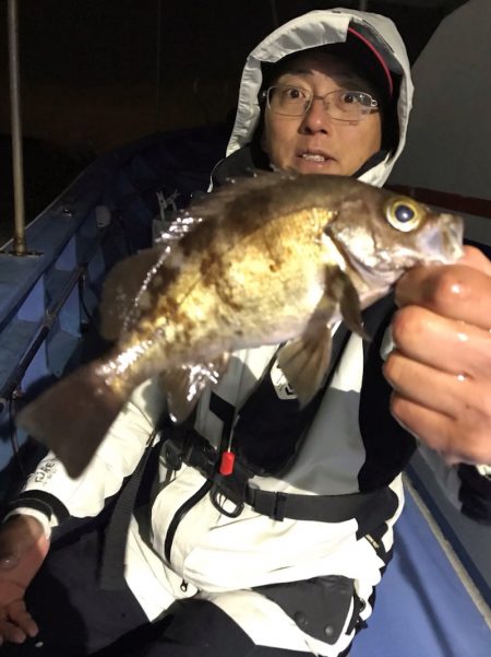 ヤザワ渡船 釣果