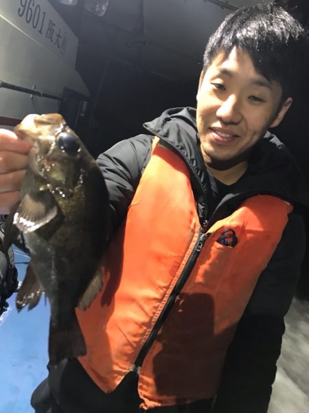 ヤザワ渡船 釣果