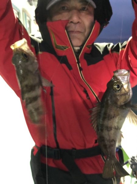 ヤザワ渡船 釣果