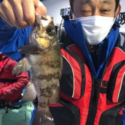 ヤザワ渡船 釣果