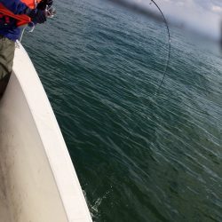 うさぎ丸 釣果