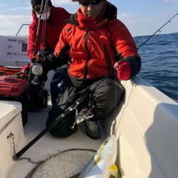 「LaGooN」蒼陽丸 日和号 釣果