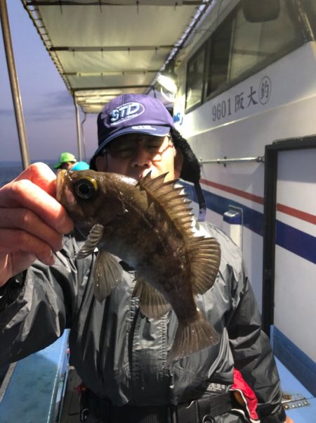 ヤザワ渡船 釣果