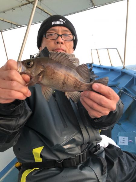 ヤザワ渡船 釣果