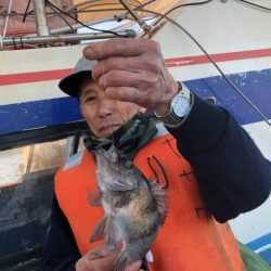 ヤザワ渡船 釣果