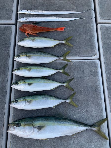 SeaRide(シーライド) 釣果