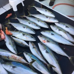 海楽隊 華栞丸 釣果