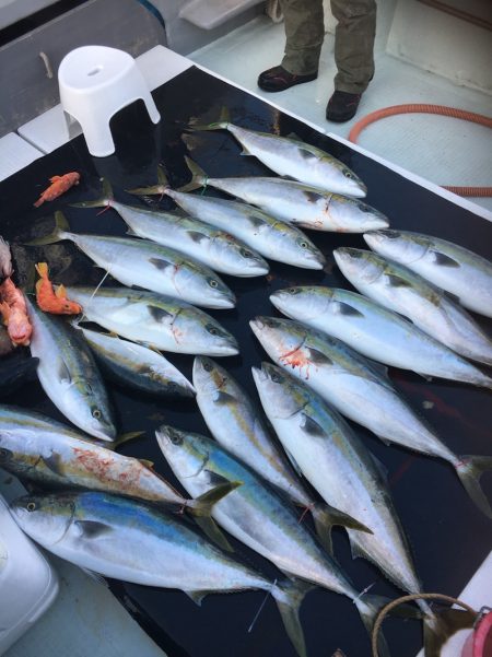 海楽隊 華栞丸 釣果