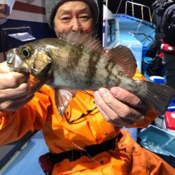 ヤザワ渡船 釣果