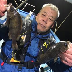 ヤザワ渡船 釣果