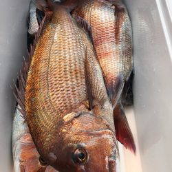 第二八坂丸 釣果