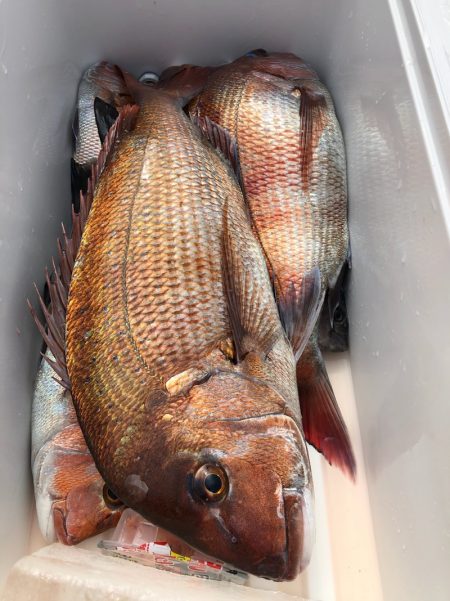 第二八坂丸 釣果