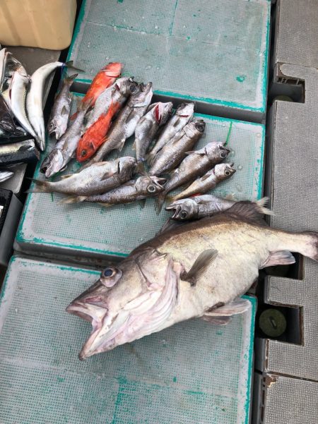 ＴＡＲＯＭＡＲＵ 釣果