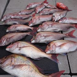 ブルースフィッシングサービス 釣果