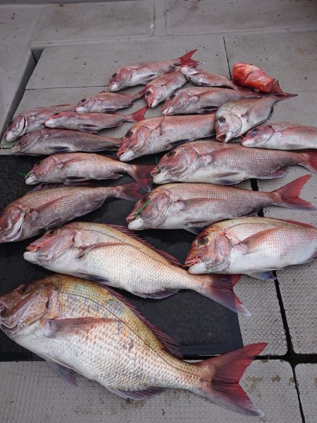 ブルースフィッシングサービス 釣果