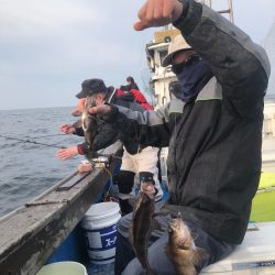 海龍丸（石川） 釣果