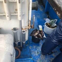 海龍丸（石川） 釣果