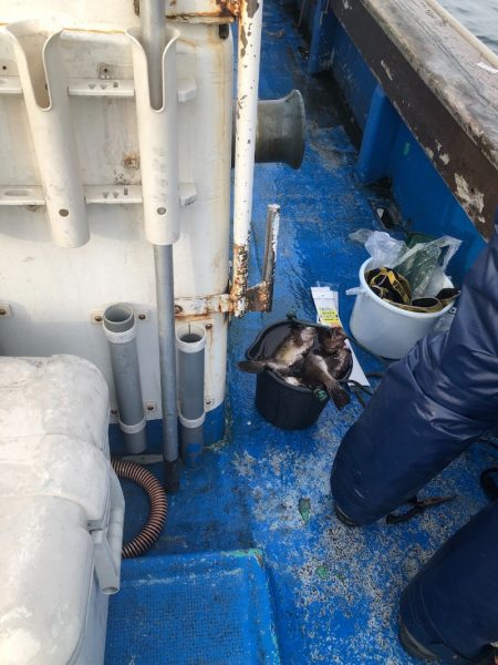 海龍丸（石川） 釣果